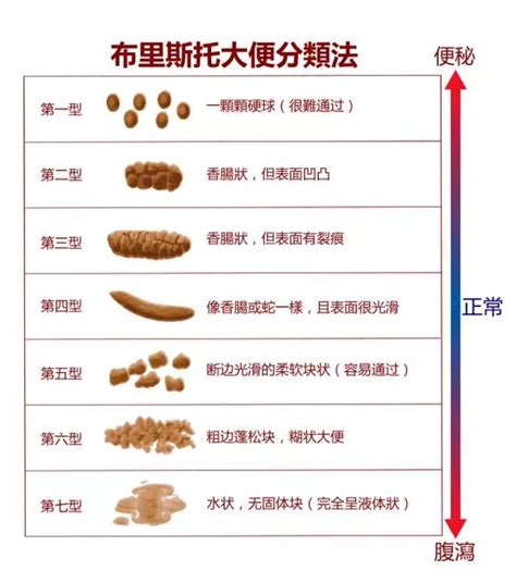 水便是什麼